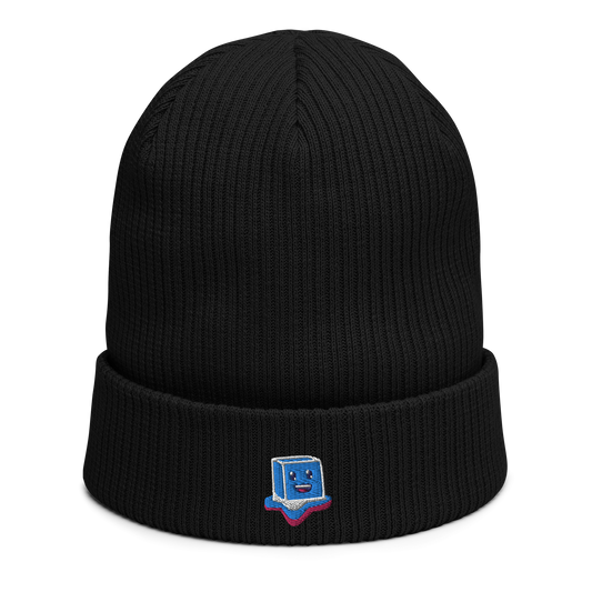 Ribbed Embroidered Boofy Toque